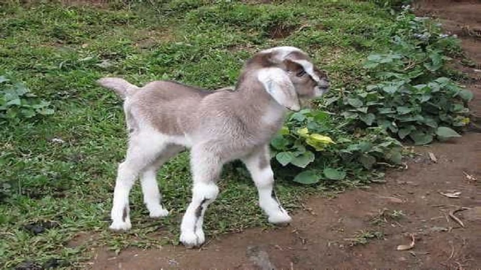 WhatsApp Image 2025-09-20 at 10.31.43_7ebde57d