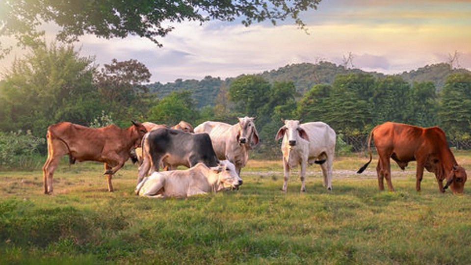 WhatsApp Image 2025-09-20 at 10.31.43_e5359498